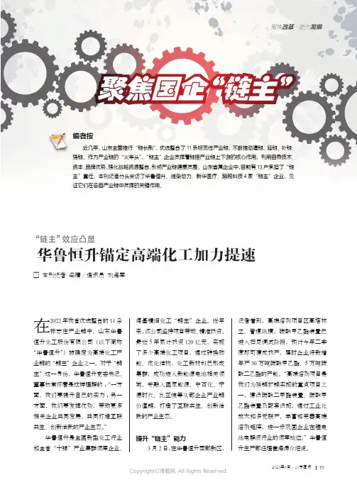 华鲁恒升锚定高端化工加力提速