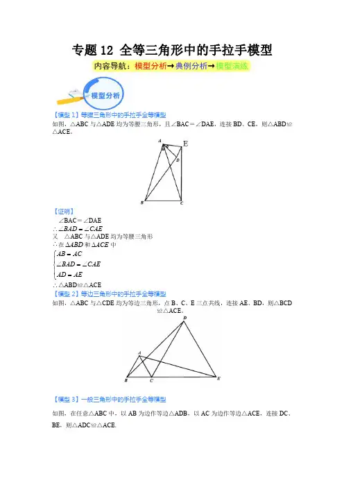专题12 全等三角形中的手拉手模型(解析版)
