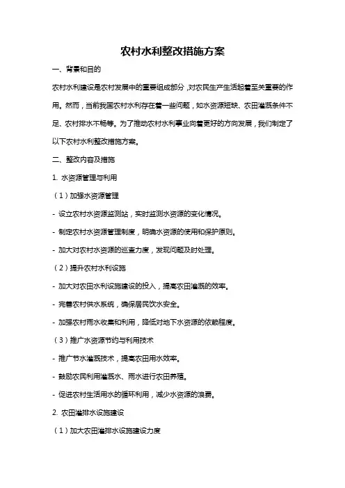 农村水利整改措施方案