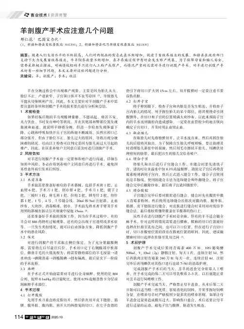 羊剖腹产手术应注意几个问题
