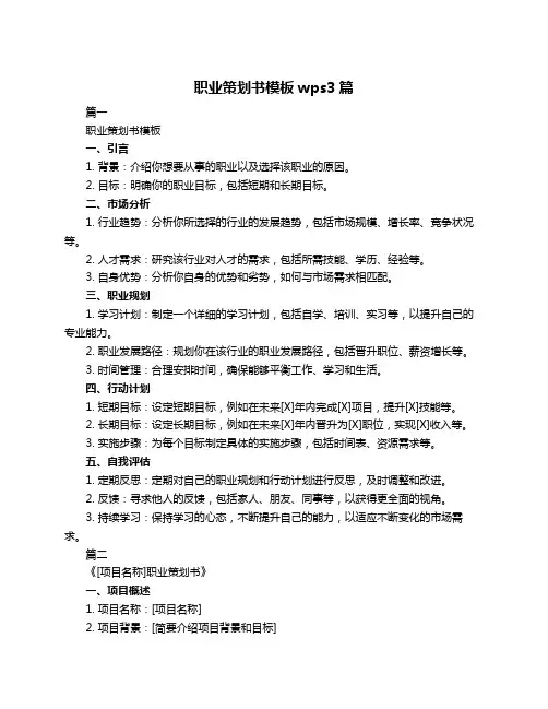 职业策划书模板wps3篇
