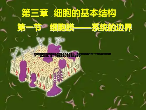 第一部分细胞膜系统的边界教学ppt课件