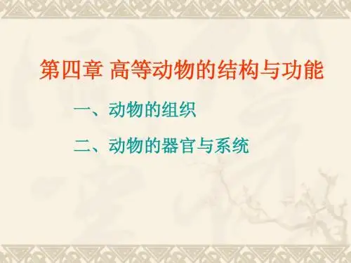 第四章 高等动物的结构与功能