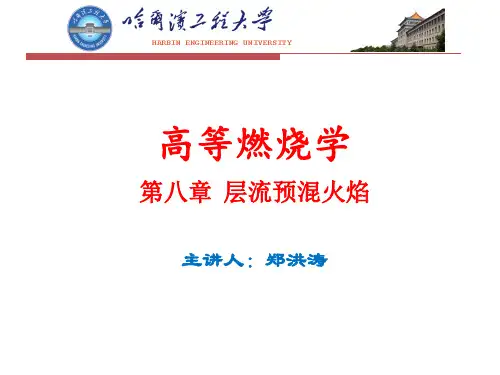 高等燃烧学讲义第8章(郑洪涛4学时)