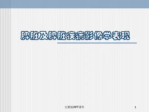 脾脏及脾脏疾病影像学表现ppt课件