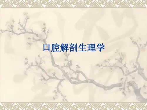 口腔解剖生理学