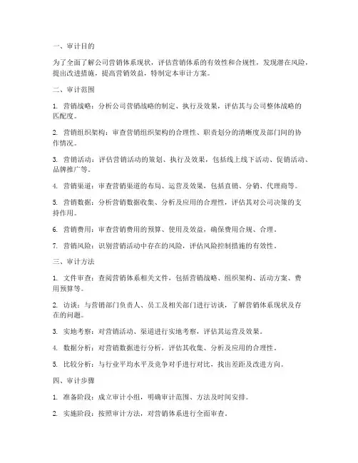 营销体系专项审计方案