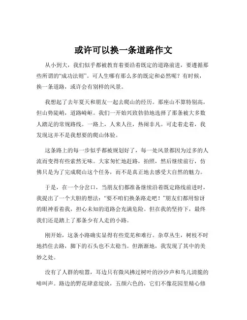 或许可以换一条道路作文