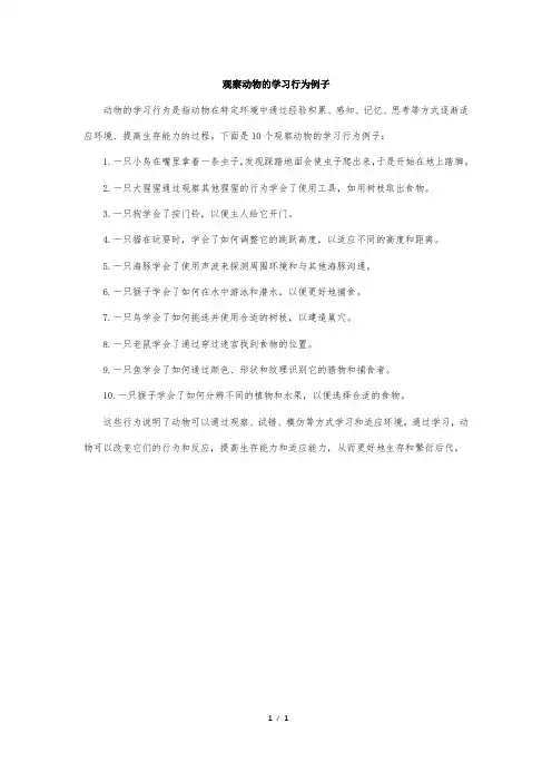 观察动物的学习行为例子