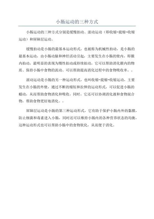 小肠运动的三种方式