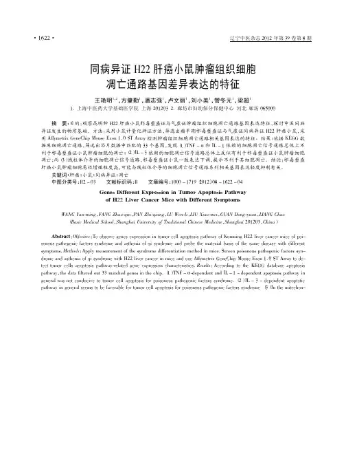 同病异证H22肝癌小鼠肿瘤组织细胞凋亡通路基因差异表达的特征