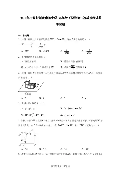 2024年宁夏银川市唐徕中学九年级下学期第二次模拟考试数学试题