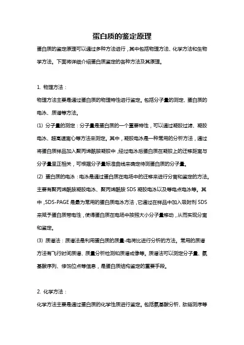 蛋白质的鉴定原理