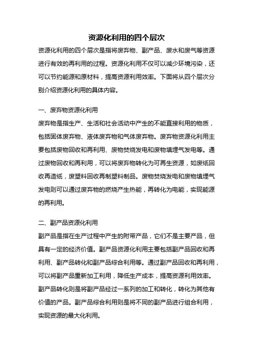 资源化利用的四个层次