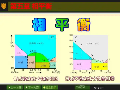 热力学相平衡