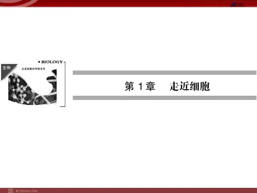 高中生物必修1复习课件：第1单元 走近细胞
