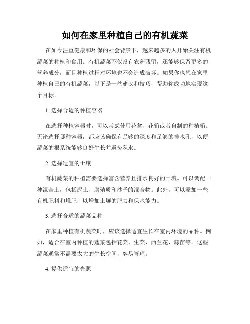 如何在家里种植自己的有机蔬菜
