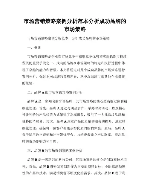 市场营销策略案例分析范本分析成功品牌的市场策略