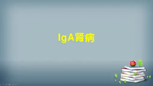 IgA肾病