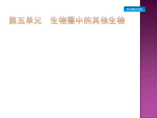 2019年中考生物总复习：第16讲-动物的主要类群课件(含答案)