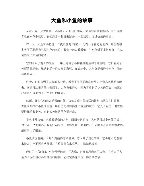 大鱼和小鱼的故事