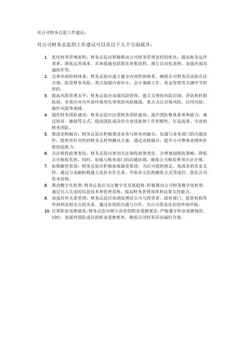 对公司财务总监工作建议