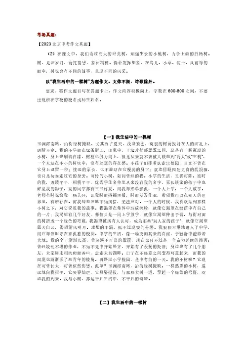 2023北京中考满分作文赏析：我生活中的一棵树(范文4篇)