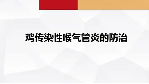鸡传染性喉气管炎的防治课件(共26张PPT)《禽生产》