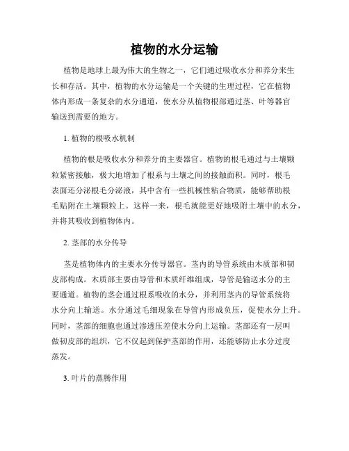 植物的水分运输