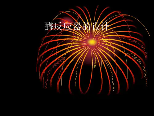 酶反应器的设计演示文稿