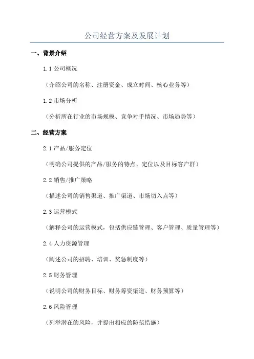 公司经营方案及发展计划
