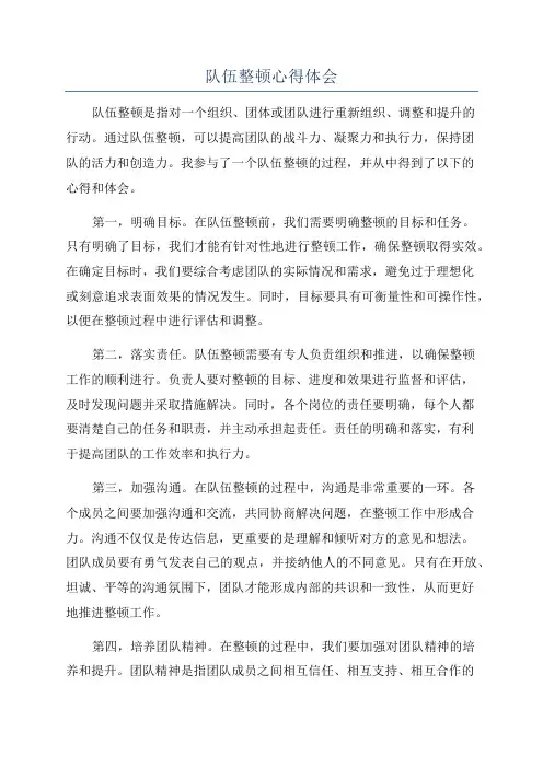 队伍整顿心得体会