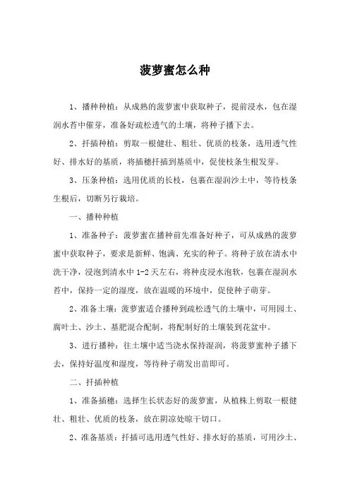 菠萝蜜怎么种