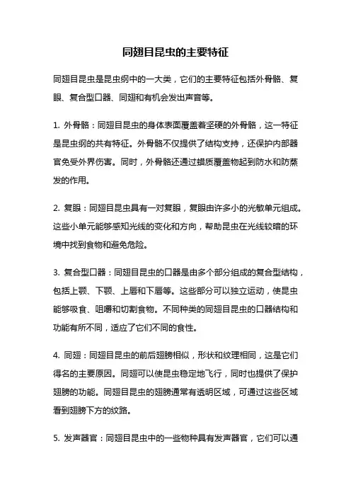 同翅目昆虫的主要特征