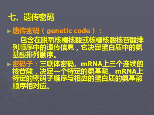遗传密码ppt课件