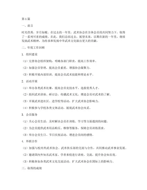 武术协会年度总结范本(3篇)