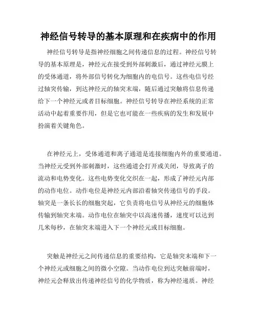 神经信号转导的基本原理和在疾病中的作用