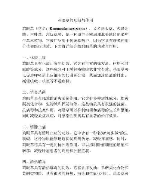 鸡眼草的功效与作用