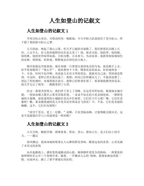 人生如登山的记叙文