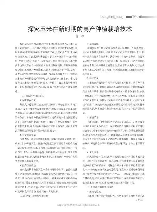 探究玉米在新时期的高产种植栽培技术