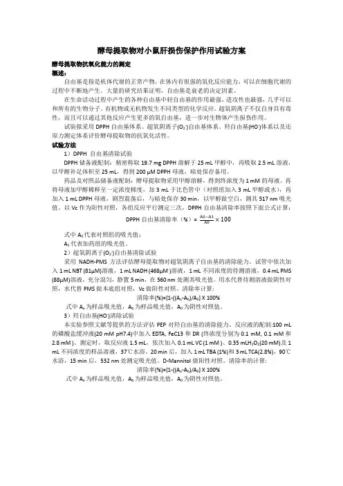 小鼠实验方案