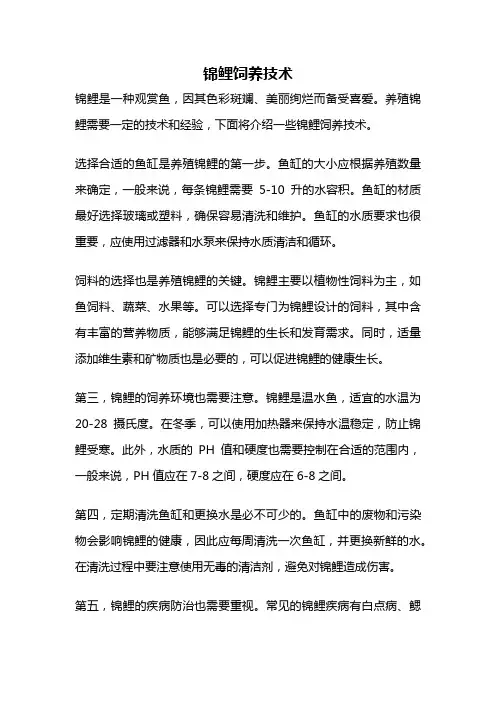 锦鲤饲养技术