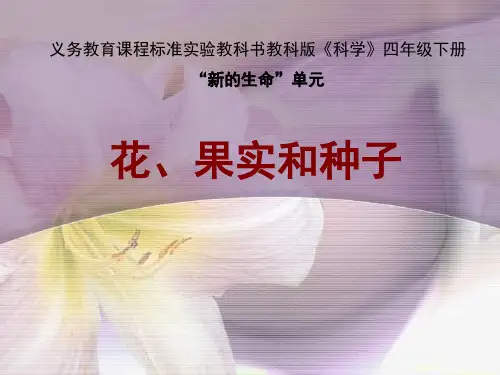 2.3 花、果实和种子