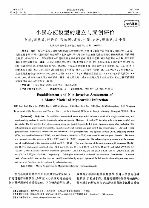 小鼠心梗模型的建立与无创评价