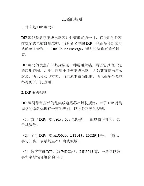 dip编码规则