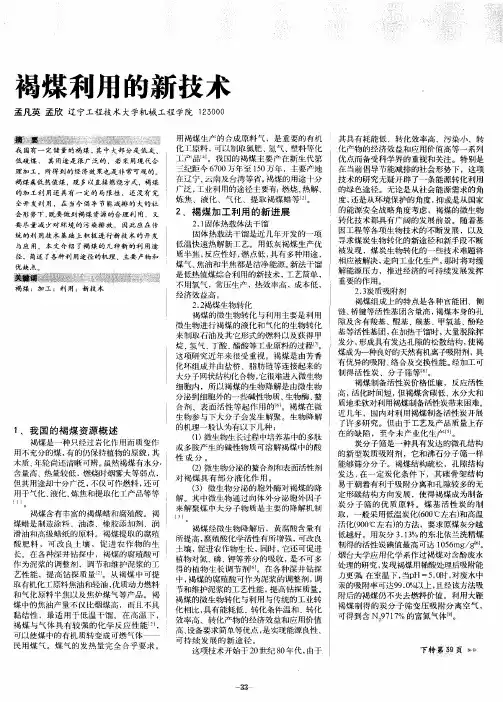 褐煤利用的新技术