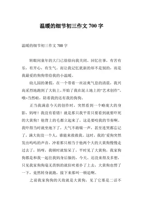 温暖的细节初三作文700字