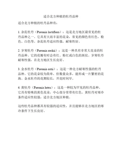 适合北方种植的牡丹品种
