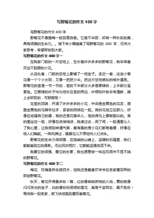 写野菊花的作文400字