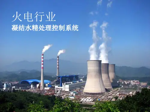 凝结水精处理控制系统工作原理讲解